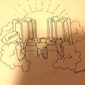 Meet your Posher, Donna